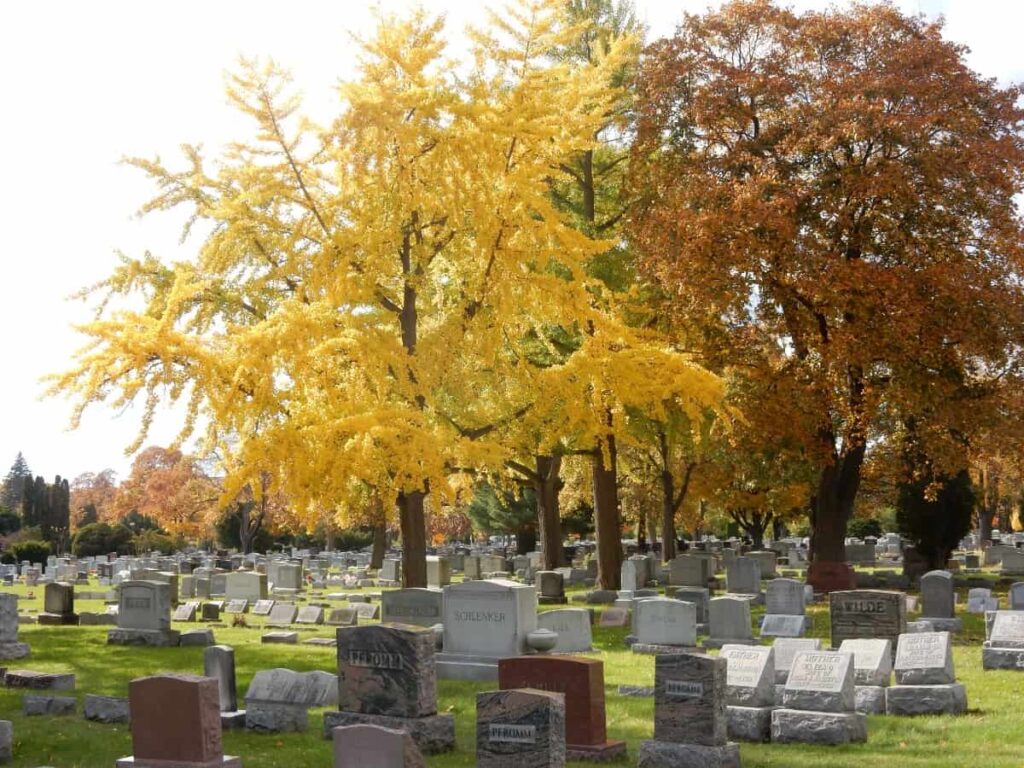 Fall Foliage in Mount Hope Cemetery