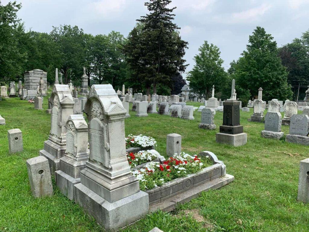 Hike with Julie Sherwood in Mount Hope Cemetery
