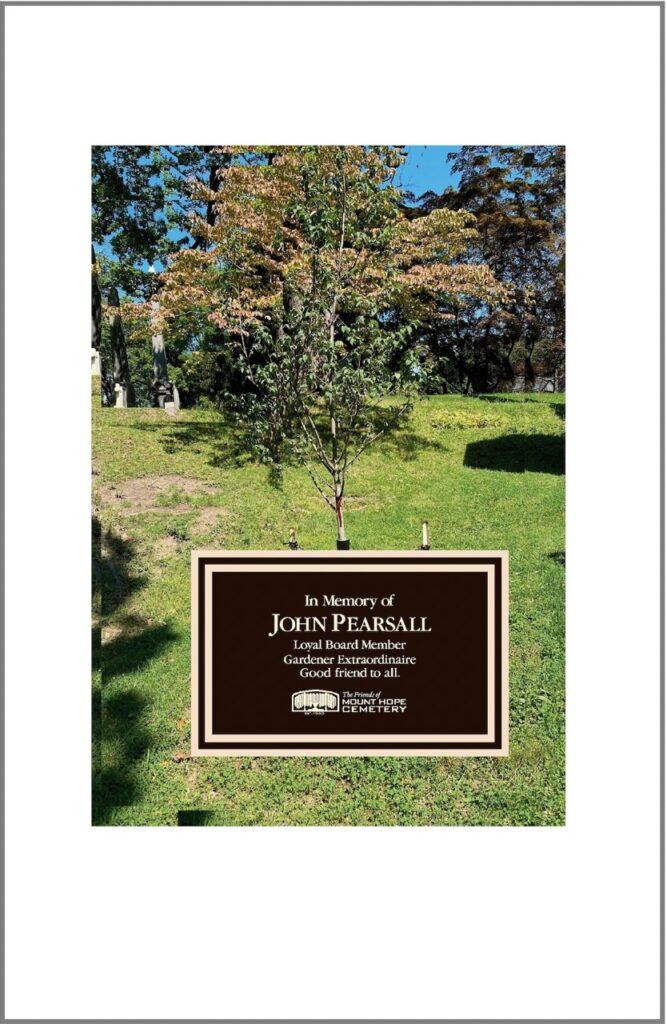 Tree Dedicated in Memory of John Pearsall - Mount Hope Cemetery Rochester, NY
